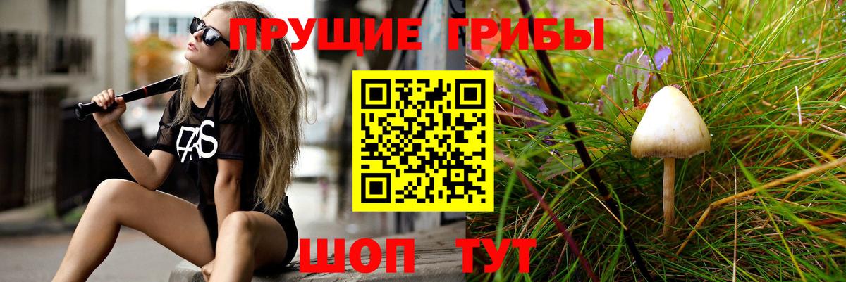 Галлюциногенные грибы MAGIC MUSHROOMS  Псилоцибиновые грибы MAGIC MUSHROOMS  Сокол  Вход с VPN 